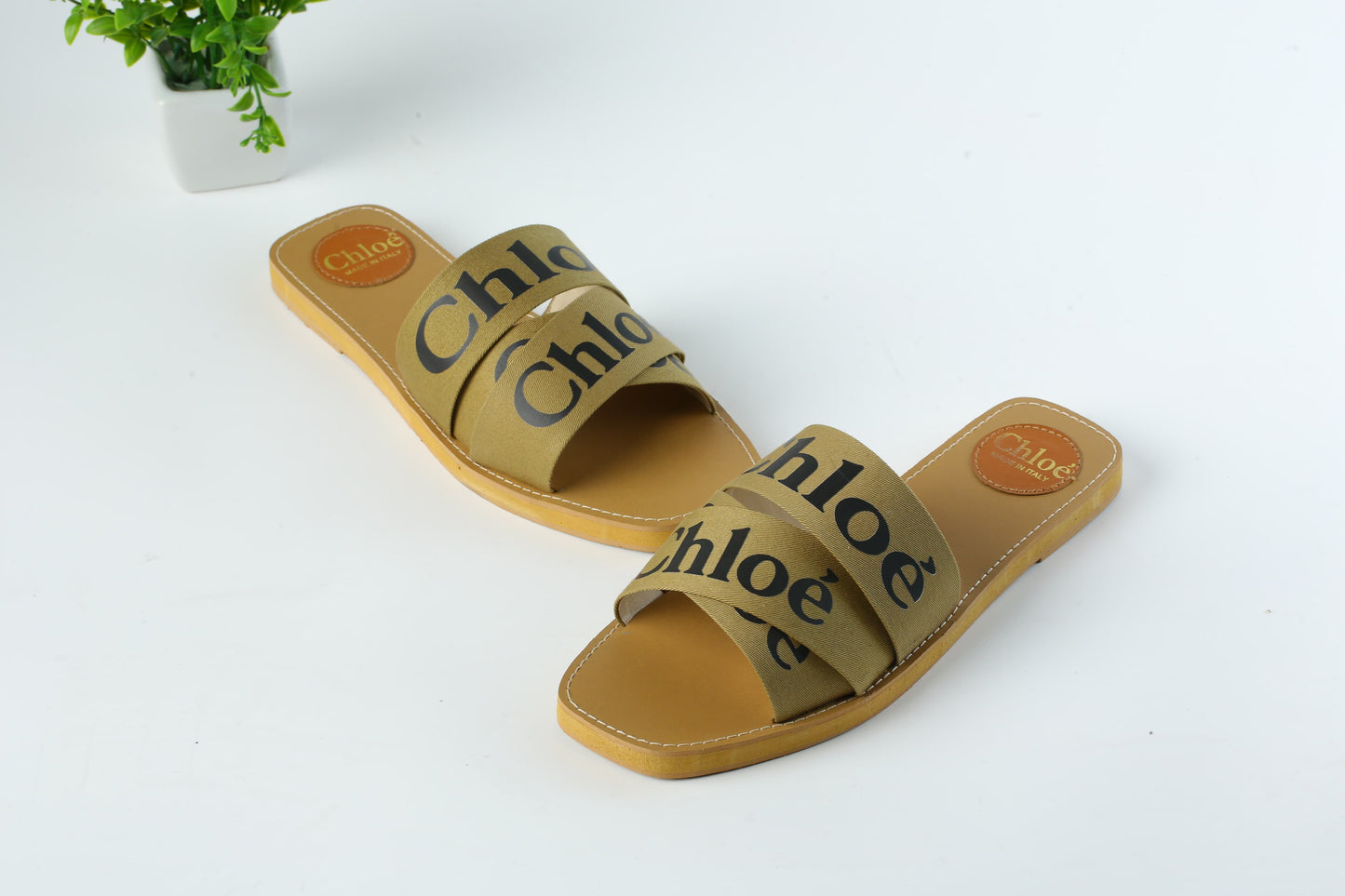 CHLOE SLIDES