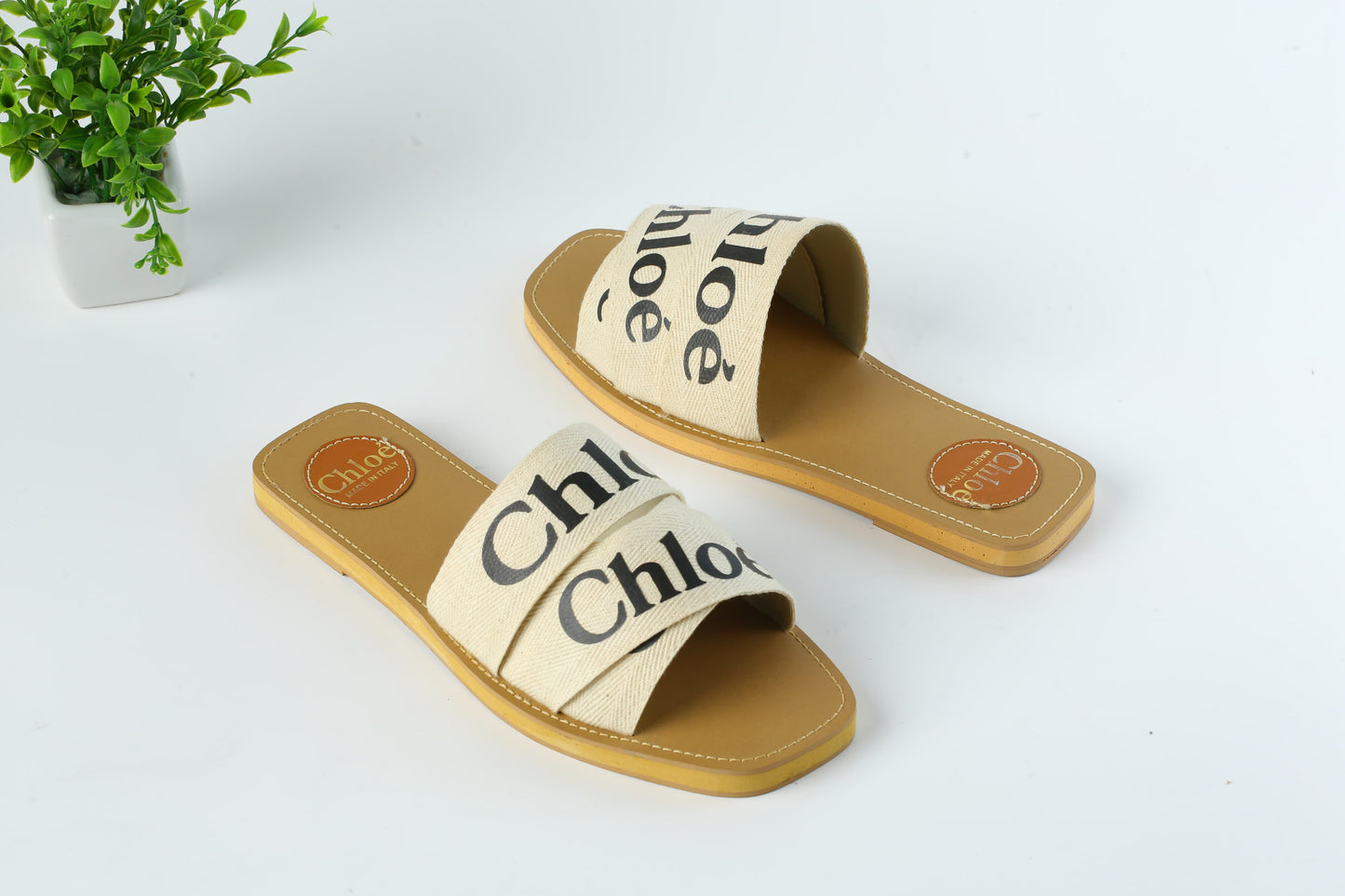 CHLOE SLIDES